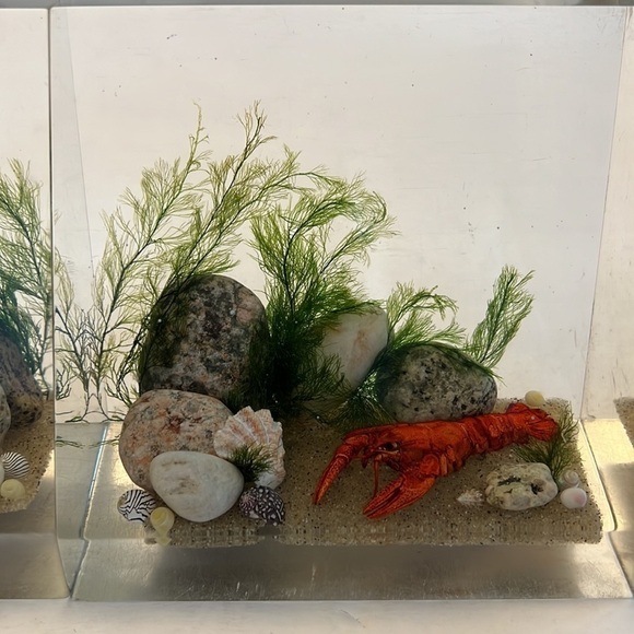 1960s Lucite Book Ends Clear Float TM Ocean Scene Lobsters - Picture 3 of 14